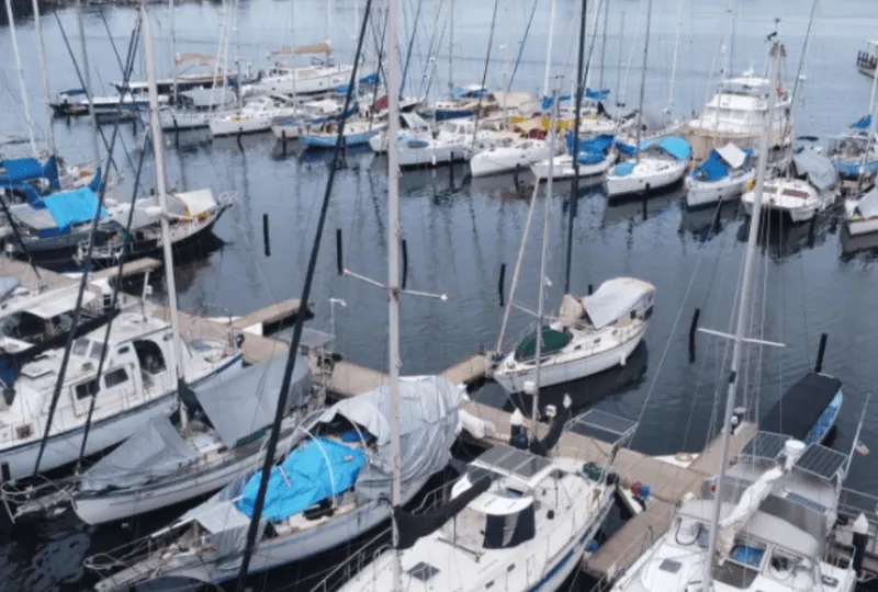 Bocas Marina